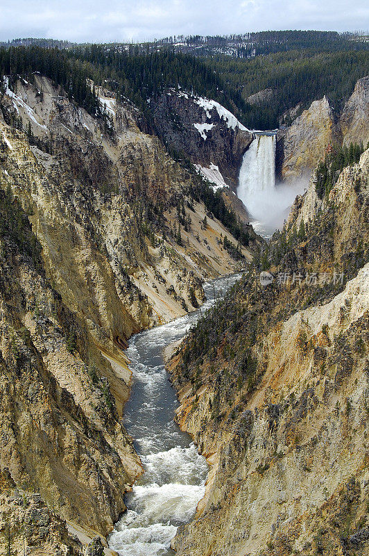 黄石国家公园艺术家Point Lower Falls River Rapids